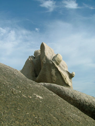 Zur&uuml;ck - Back - En arri&egrave;re: Fotografie - Photographic - Photographie