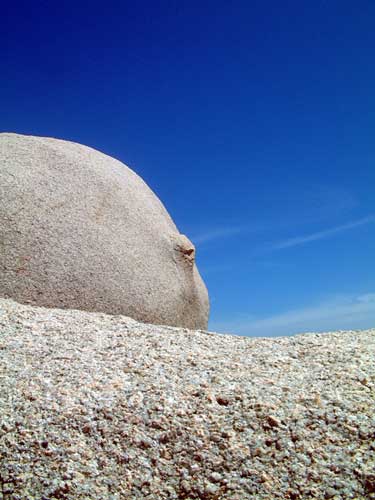 Zur&uuml;ck - Back - En arri&egrave;re: Fotografie - Photographic - Photographie