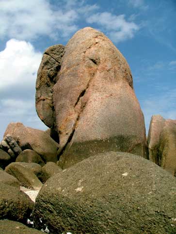 Zur&uuml;ck - Back - En arri&egrave;re: Fotografie - Photographic - Photographie