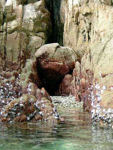 Zur&uuml;ck - Back - En arri&egrave;re: Fotografie - Photographic - Photographie